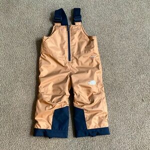 North Face Toddler Snowpants